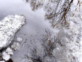 reflexo de árvores e arbustos na água, com pedaços de gelo na superfície.