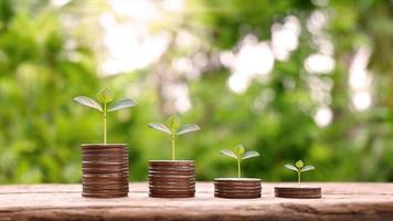 moedas e árvores são plantadas em pilhas de moedas para finanças e bancos. conceito de tendência descendente para investimento, fundo mútuo, finanças e negócios