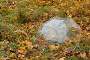 fundo de outono outono com guarda-chuva transparente em folhas de bordo amarelas caídas. guarda-chuva de tendência com folha de laranja encontra-se no chão no outono outono park. foto