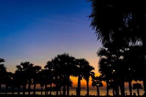 belo pôr do sol à beira-mar com palmeiras. foco seletivo foto
