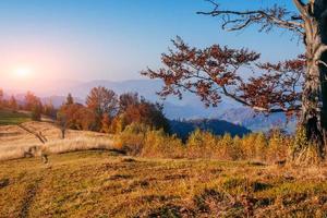 paisagem cênica de outono foto