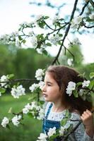 uma menina bonitinha de 5 anos em um pomar de maçãs brancas florescendo na primavera. primavera, pomar, floração, alergia, fragrância primaveril, ternura, cuidado com a natureza. retrato