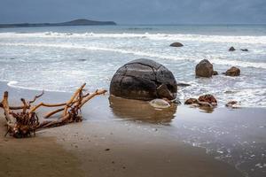 pedregulhos moeraki na ilha sul da nova zelândia foto