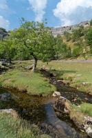 vista da paisagem ao redor da enseada de malham no parque nacional de yorkshire dales foto