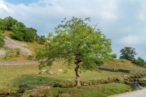 vista da paisagem ao redor da enseada de malham no parque nacional de yorkshire dales foto