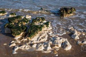 rochas de giz expostas na maré baixa na baía botânica perto de broadstairs em kent foto