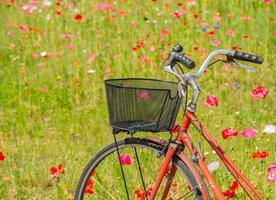 bicicleta em campo florido foto