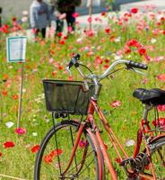 bicicleta em campo florido foto