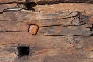textura de madeira velha, vintage natural foto