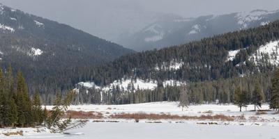 paisagens de inverno do parque nacional de yellowstone em wyoming foto