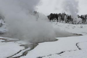 cenário de inverno no parque nacional de yellowstone, wyoming. foto