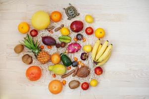 frutas exóticas com pequena tartaruga terrestre em fundo de madeira. alimentação saudável dieta alimentar. foto