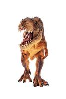 tiranossauro rex, dinossauro em fundo de isolamento foto