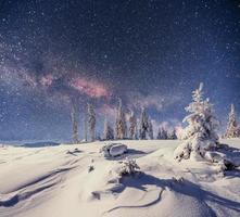 laticínios star trek na floresta de inverno foto