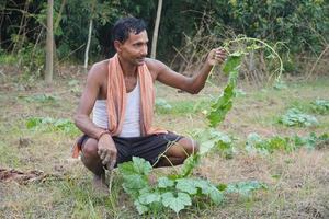 agricultor bonito indiano em sua aldeia trabalhando na fazenda foto