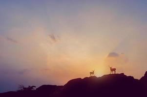 silhueta de montanha o sol, o céu e o conceito de silhueta de vida foto