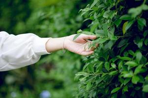 lindas mãos verdes e folhas de amantes da natureza, conceitos naturais - imagens foto