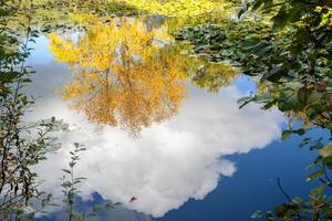 reflexões em um dia ensolarado de outono em um lago em surrey foto