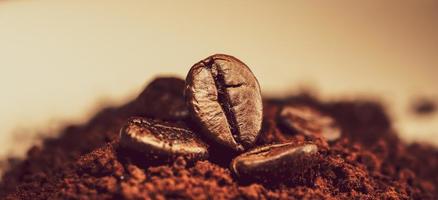 close-up de grãos de café em uma pilha de pó de café moído, tons dourados, fundo desfocado foto