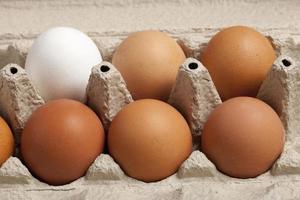close-up vista de ovos de galinha crua na caixa, clara de ovo, ovo marrom no fundo foto