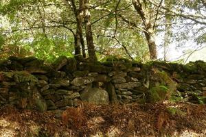 vistas e detalhes da zona rural de lugo foto