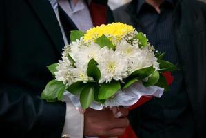 belas flores silvestres foco seletivo foto de alta qualidade