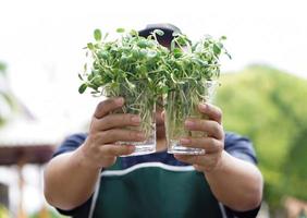 broto de girassol em copos de plástico transparente segurando nas mãos de macho asiático de meia idade, foco suave e seletivo no broto de girassol, conceito para jardinagem e relaxamento em casa. foto