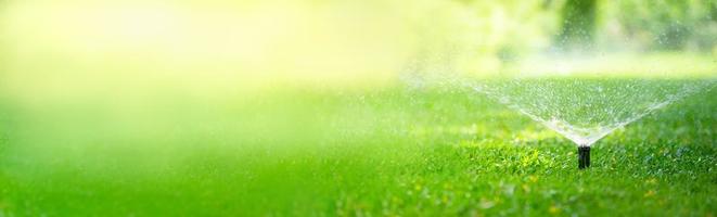 aspersor automático de jardim em ação molhando grama usando como capa de fundo foto