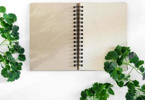 caderno espiral de papel kraft com folhas verdes como moldura foto