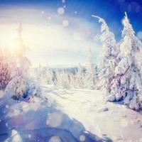 paisagem de inverno árvores com neve, bokeh de fundo com floco de neve foto