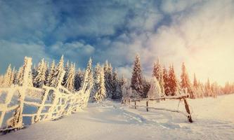 estrada de inverno. paisagem misteriosa foto