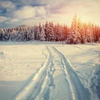 estrada de inverno. paisagem misteriosa foto