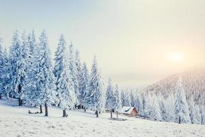 cabana nas montanhas no inverno foto