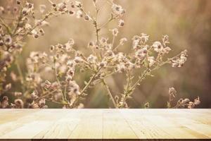 perspectiva de madeira velha na flor de grama em estilo pastel e suave em luz de sinalização para fundo ao ar livre foto