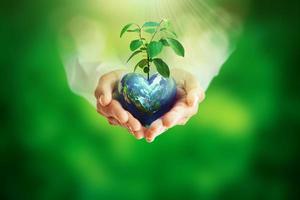 mãos humanas segurando a bola do globo e a árvore no fundo bokeh verde turva e cartão para o dia mundial da terra, salvando o meio ambiente, protegendo o planeta limpo e a ecologia segura