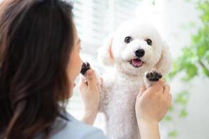 jovem mulher asiática brincando com cachorro em casa foto