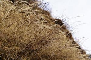 belas imagens de close-up de vidro de alta definição foto