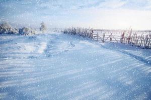 árvores de paisagem de inverno e cerca na geada, fundo com s foto