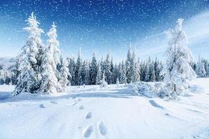 fantástica paisagem de inverno e trilhas percorridas que levam ao foto