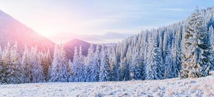 fantástica paisagem de inverno nas montanhas. pôr do sol mágico em um foto