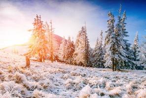 fantástica paisagem de inverno nas montanhas. pôr do sol mágico em um foto