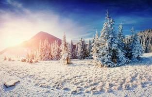 fantástica paisagem de inverno nas montanhas. foto