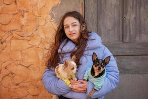 menina adolescente em uma jaqueta roxa com seus animais de estimação em seus braços. menina e chihuahua. foto