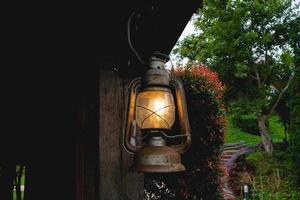 lâmpada vintage e natureza foto