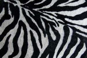 textura de tecido estampado listras zebra para plano de fundo foto