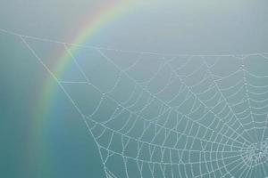 gotas de chuva na teia de aranha em dias chuvosos foto