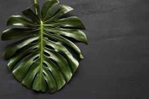 monstera é um piso tropical. no piso de madeira com fundo preto foto