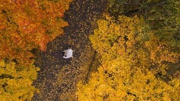 recém-casados na vista superior da floresta de outono foto