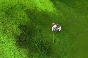 cortador de grama em um fundo de vista superior de gramado verde foto