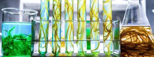 fundo de banner de pesquisa de biotecnologia de algas, experimento de algas pesquisando em laboratório para uso em energia de biocombustível industrial, produção de desenvolvimento sustentável do sistema industrial de biodiesel foto